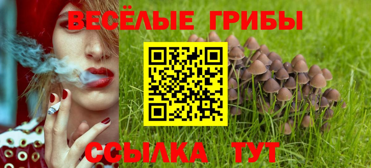 Галлюциногенные грибы Psilocybe  Псилоцибиновые грибы Psilocybe  сколько стоит  Вход с VPN  Новоуральск 